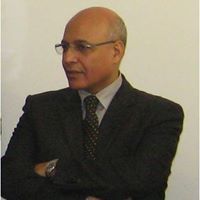 Mahmoud Elsobki