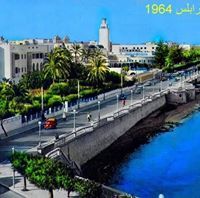 مراد الزابطي