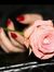 Noha Al...
