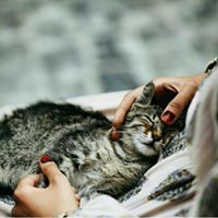 الاء النجآر