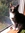 Cathie