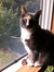 Cathie