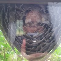 Matthew Holcombe Epstein