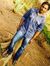 Jayanth...