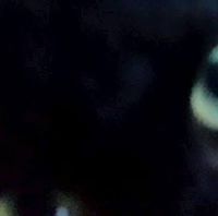 PrincessPat Jotivudh