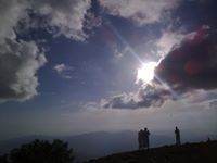 أيمن الغيثي