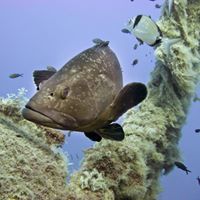 ยืนมองจุดเดียวกัน แต่ความคิดต่างกัน