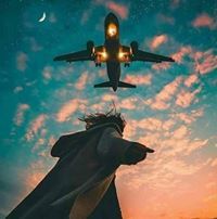 Walaa Kamal