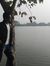 Tuhin S...