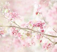 Евгения Перелыгина