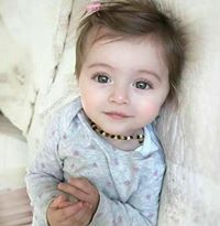 محمود السيد