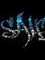 MD Saif