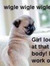 CheekyPanda