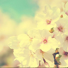 ᗩ ᗪOG♡＾▽＾♡