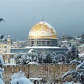 د.مصطفى أبو