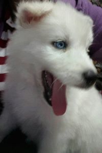 Nayeli Cajamarca Barrera