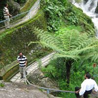 عبدالهادي ال خضر