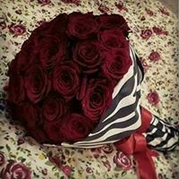 Qamar Mousa