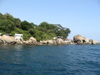 Николай Завадский