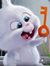 Norel Chan