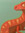 Raptor (q-rai) | 1 comments