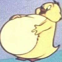 محمد حسام الدين