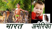Anil Anil
