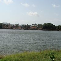 Prachi Gawde