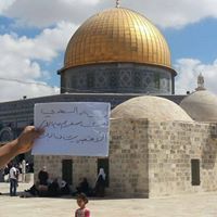 لينة السعدي