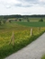 Eline
