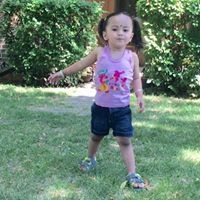 पर्बेश लीवन