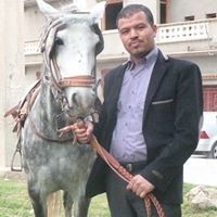 Abdelhalim Boufekren