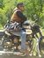 Ankit K...