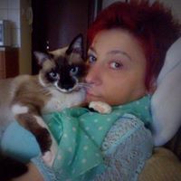 Ραλού Μεθενίτου