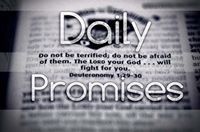 Daily Promises