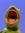 Mic Salmon