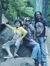 Teguh S...