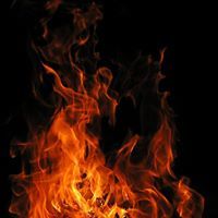 Теодор Кавалджиев