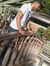Rater B...