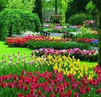 العيون البريئة