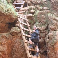 Mr Michael Robert Thorne