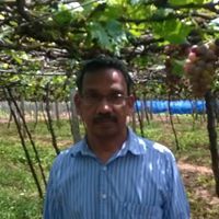 Padmakumar Krishnan Nair