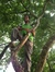 Shahab Mosharraf