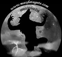MaxData Gate