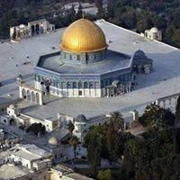 علاء ابو صفيه