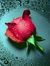 Deepali...