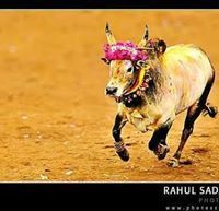 Ravi Kumar