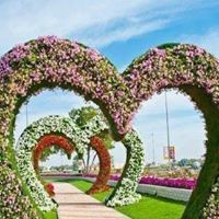 محمد الرشايدة