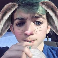 Sam DeCecco