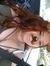 Viviann...